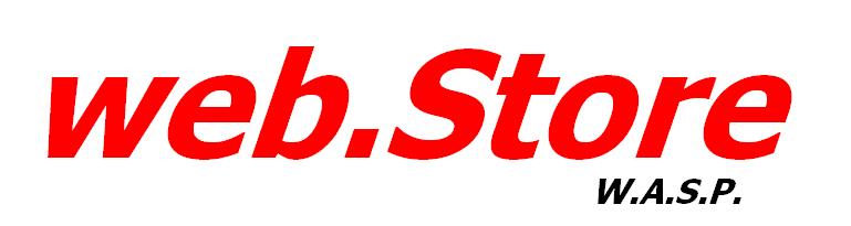 web.Store logo